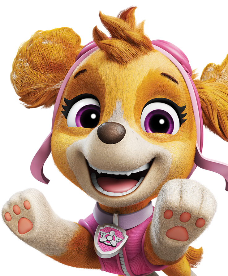 Skye from Paw Patrol